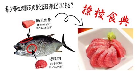 腦天|撩棱食典：來自吞拿魚的腦天